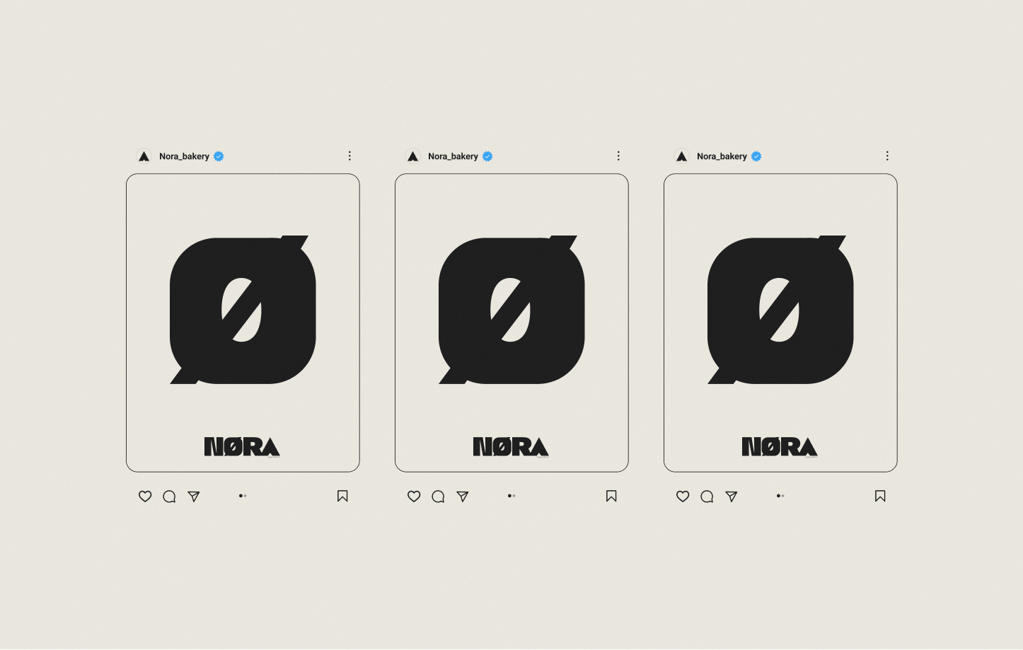 NORA Project Image 2