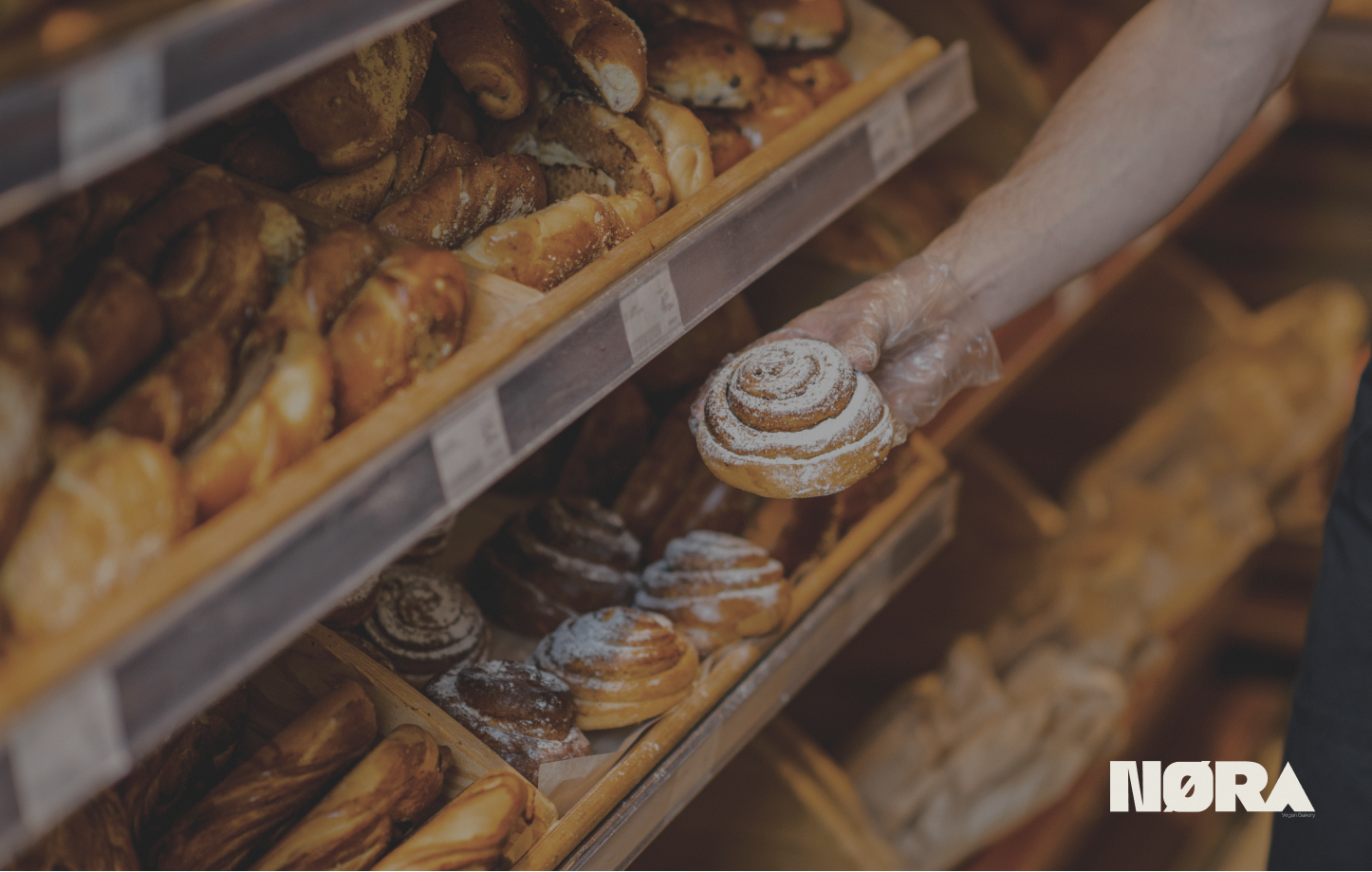 NORA Project Image 3