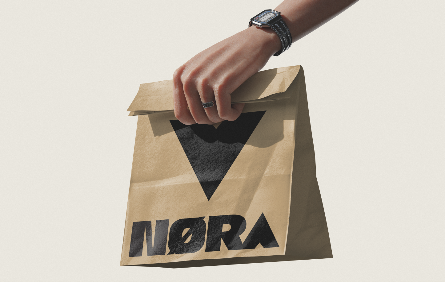 NORA Project Image 5